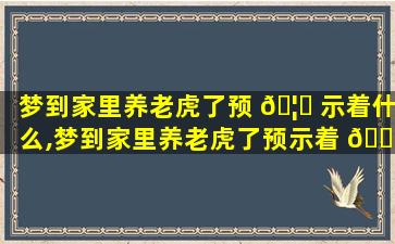 梦到家里养老虎了预 🦉 示着什么,梦到家里养老虎了预示着 🐛 什么预兆